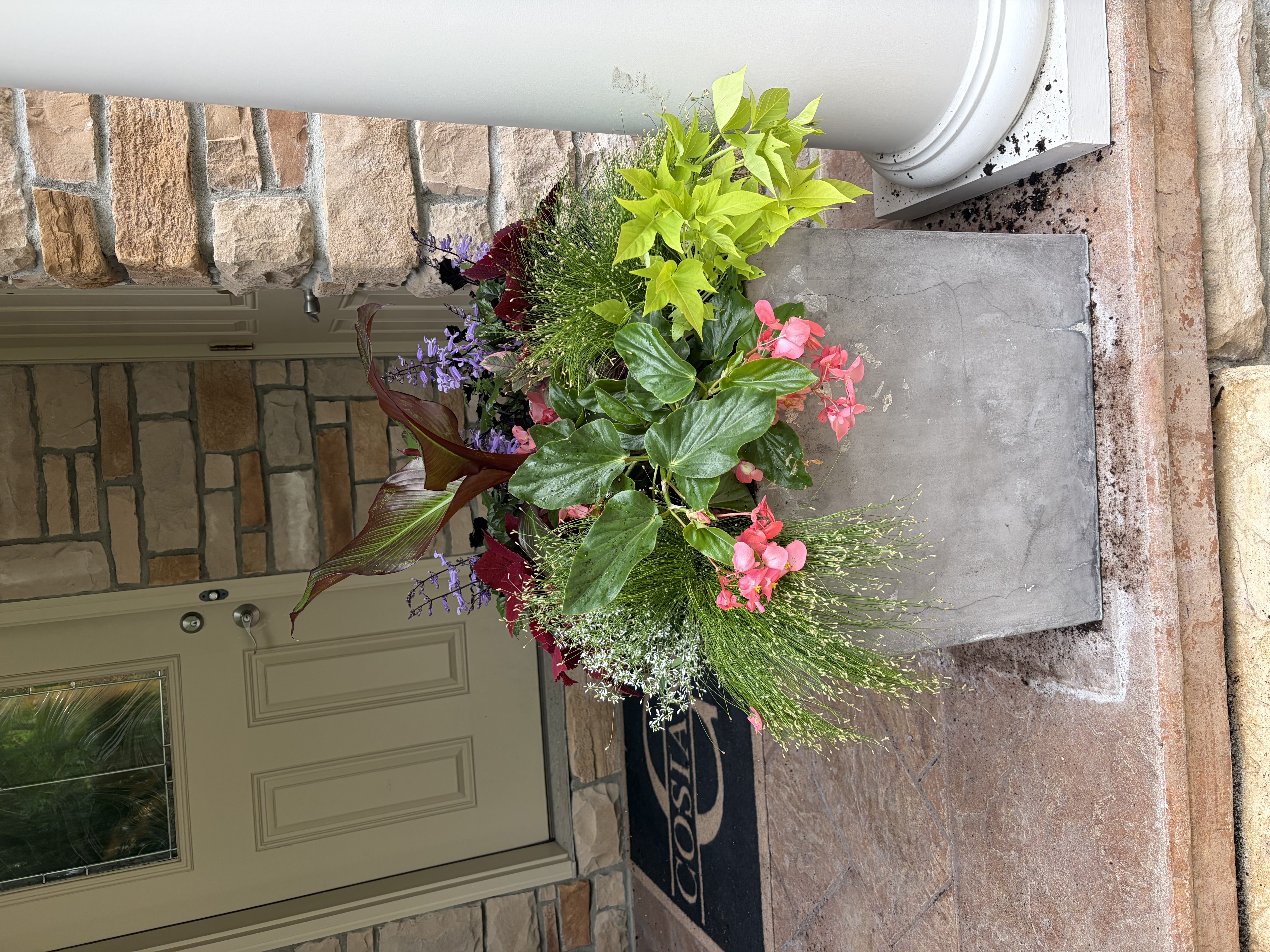 Seasonal planter arrangement
